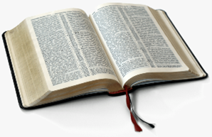 Open Bible White Background, HD Png Download , Transparent Png Image -  PNGitem