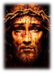 Image result for face of jesus